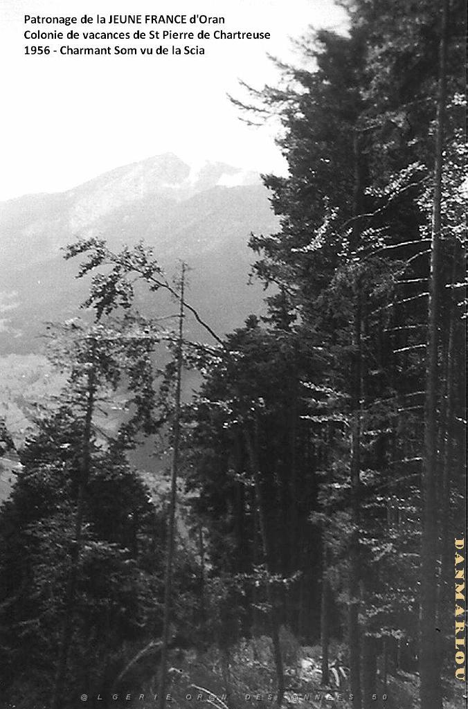 COLO JEUNE FRANCE 1956 Charmant Som vue de la Scia.jpg